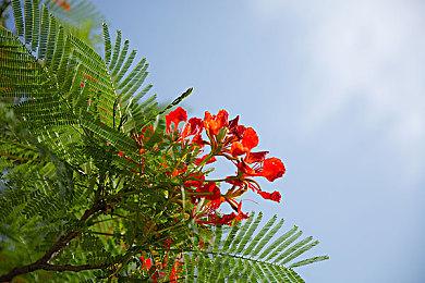 任天堂Switch 2首轮中签者申购手续已经开启 必要周边数量有限